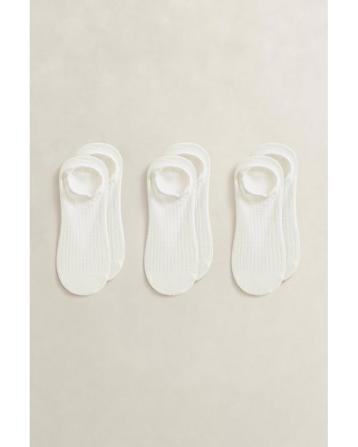 Gant Natural 3-Pack Ribbed Low-Cut Socks Eggshell
