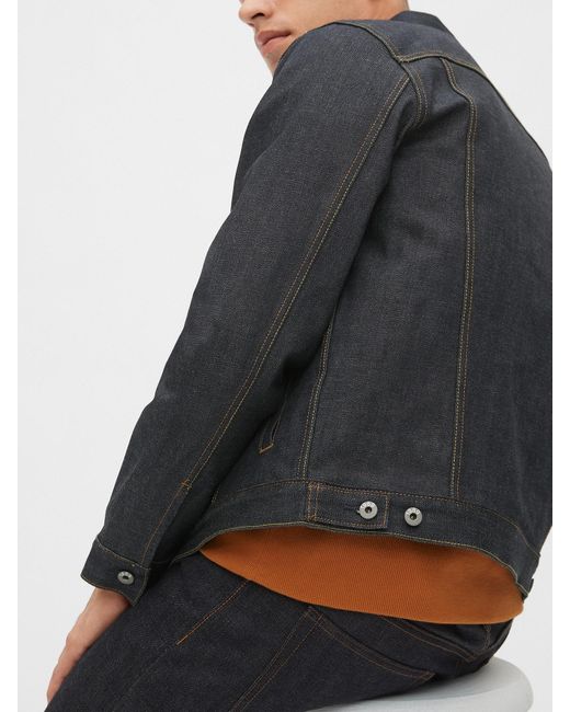 gap black selvedge