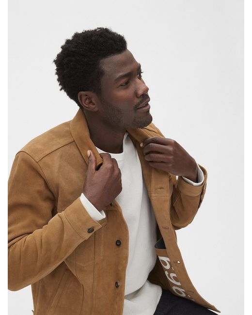 gap suede shirt jacket