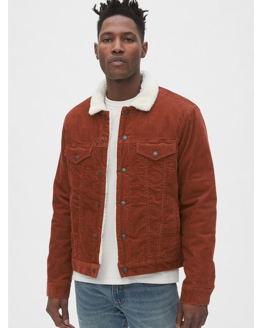 gap corduroy sherpa jacket
