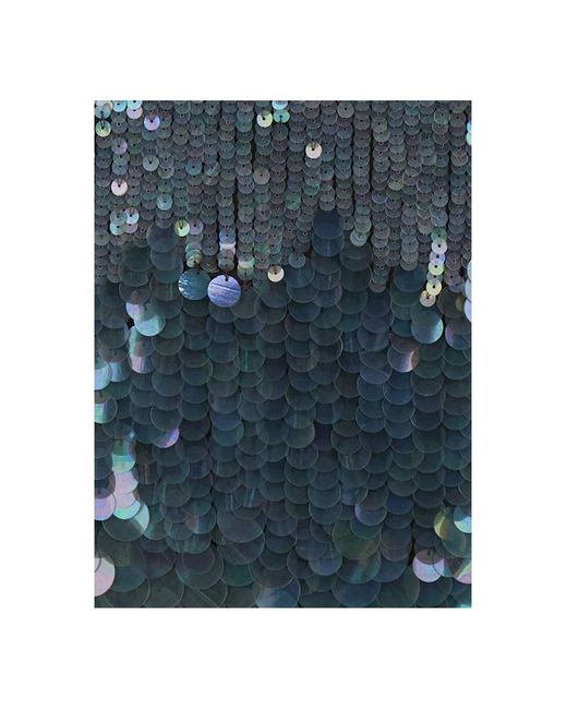 P.A.R.O.S.H. Blue Midi Skirt With Sequins
