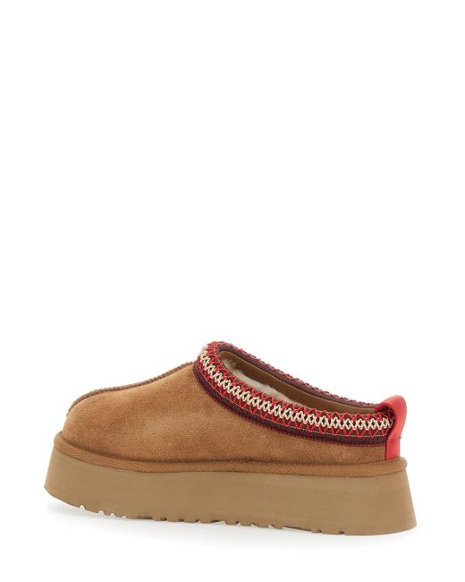 Ugg Brown W Tazz Ii