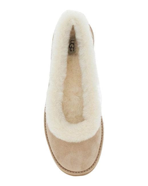 Ugg Natural Ballet Shoes Zora Suede
