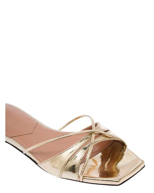 D'Accori Metallic 'Lust' -Colored Flat Sandals With Criss-Cross Straps