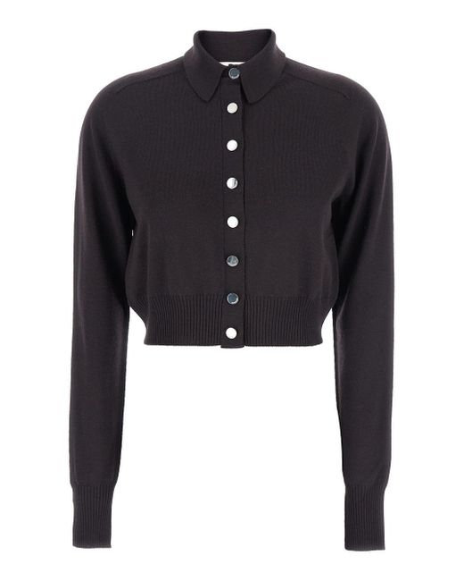 Sportmax Blue 'Perseo' Cropped Cardigan With Button Down Collar And R