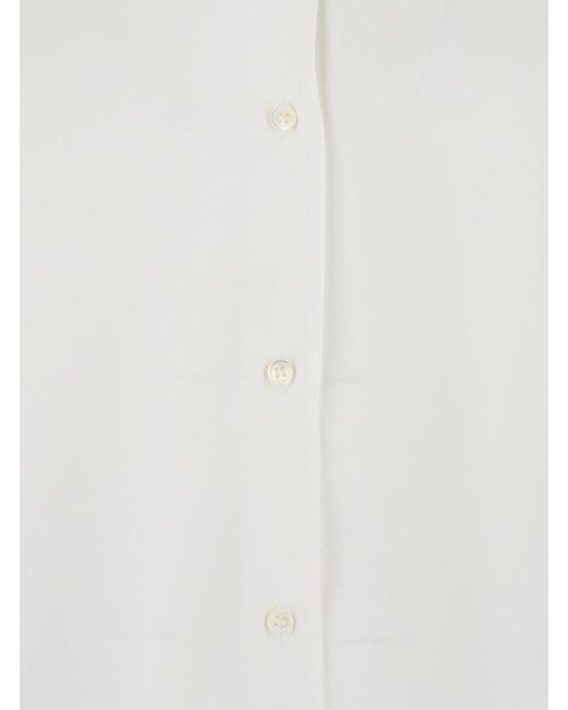 Le Plain White Shirt With Classic Collar