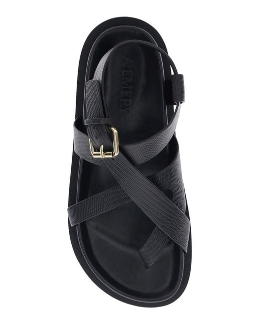 A.Emery Black 'Elbert' Sandals With Intrwined Straps And Buckle Closur