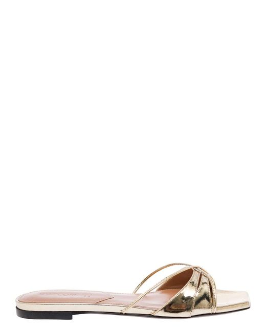 D'Accori Metallic 'Lust' -Colored Flat Sandals With Criss-Cross Straps