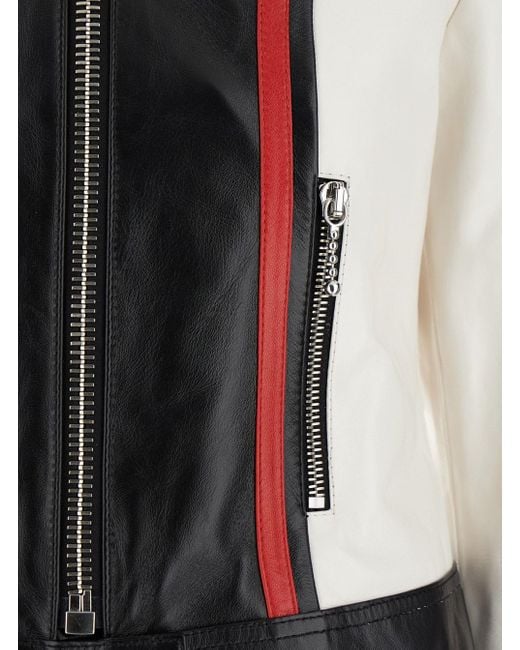 Céline Black Blouson Racer Tricolore