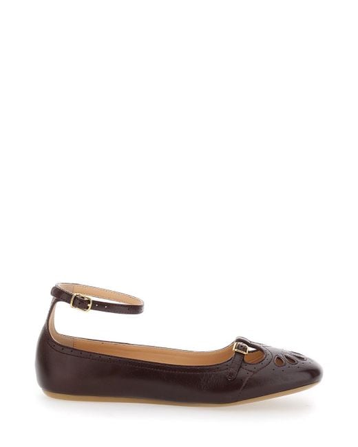 Chloé Brown 14V