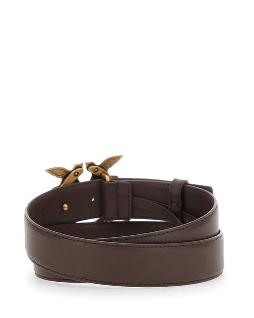 Pinko Brown Belt Love Birds Buckle Leather