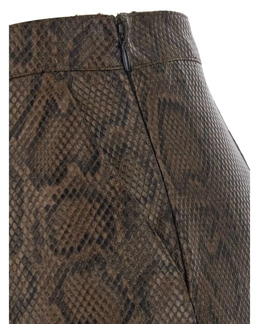 Twinset Brown St.Python/Blac
K