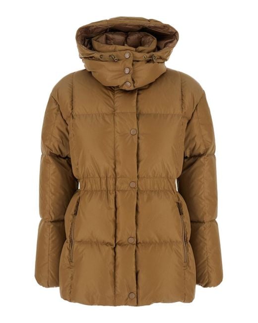 Moncler Brown Down Jacket With Fixed Hood With Buttons And Logo Patch