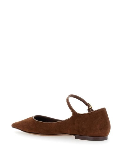 Dolce & Gabbana Brown Pointed Toe Ballerinas With Dg Logo On The Side