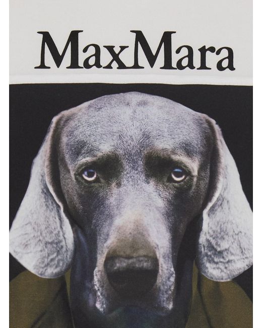 Max Mara Multicolor Cotton Short Sleeve Round Neck T-Shirt For