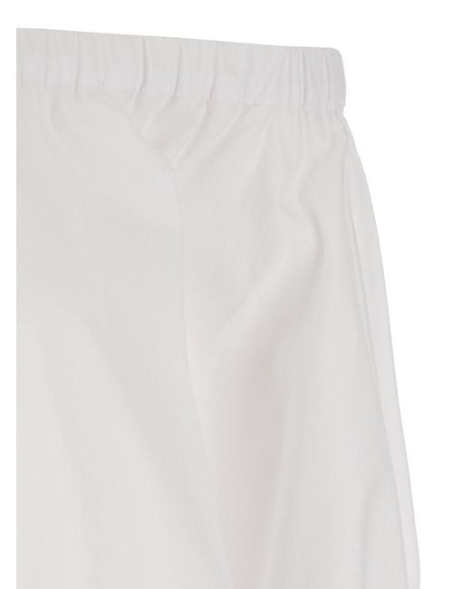 Le Plain White Top