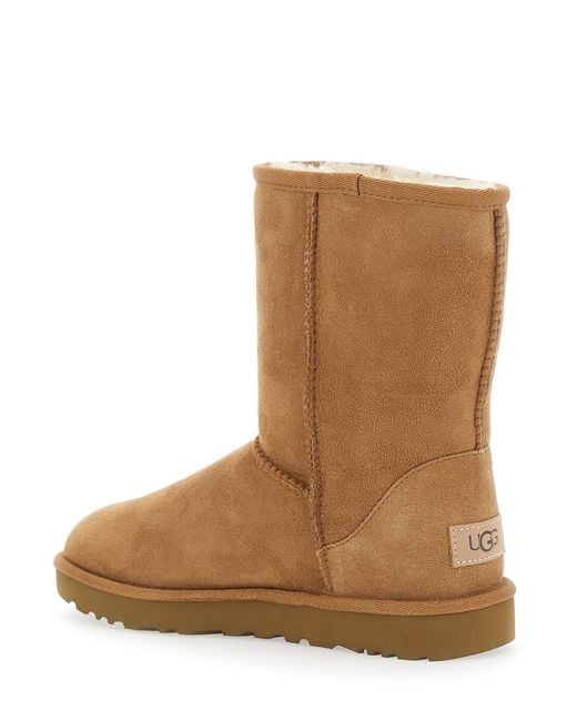 Ugg Brown Boots Classic Short Suede
