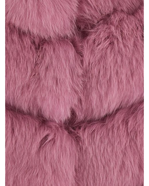 Suprema Pink Vest With High Collar, Made Of Fur