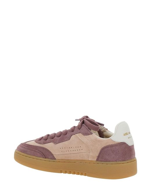 Axel Arigato Brown 'Dice T-Toe' Low Top Sneakers With Contrasting Heel With Logo Lettering