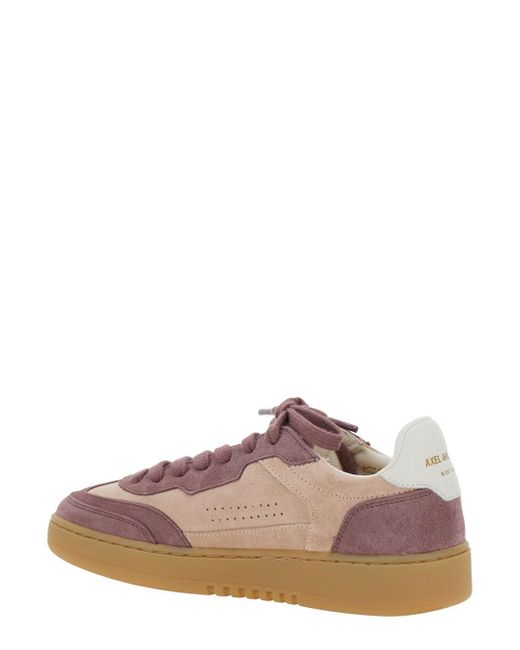 Sneaker 'Dice T-Toe' Low Top Con Tallone A Contrasto Con di Axel Arigato in Brown