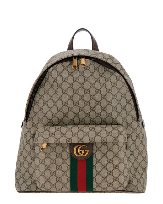 Gucci Brown 'Ophidia' Backpack With Gg Plate And Web Detail On The Front for men