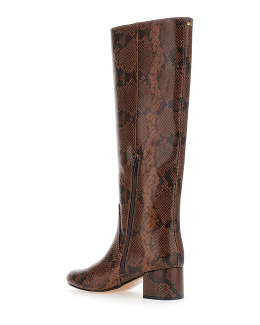 Twinset Brown Knee Boots With Python Effect