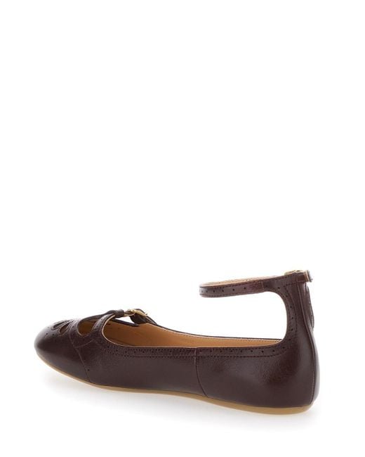 Chloé Brown 14V