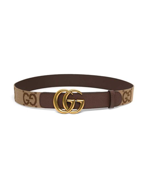Gucci gg Belt In And Brown Cotton And Leather