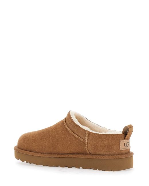 Ugg Brown Ankle Boots Classic Micro Suede