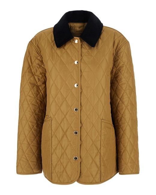 Burberry Brown Dranefeld Emb