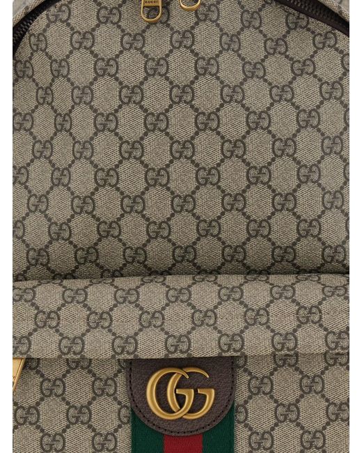 Gucci Brown 'Ophidia' Backpack With Gg Plate And Web Detail On The Front for men