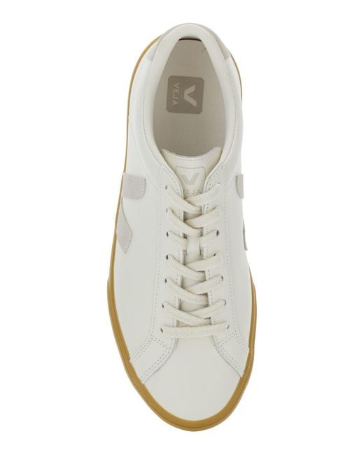 Veja White Low Top Sneakers With Logo Details