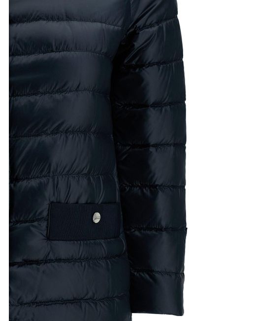 Herno Blue Down Jacket With Collar And Branded Buttons