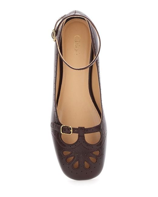 Chloé Brown 14V