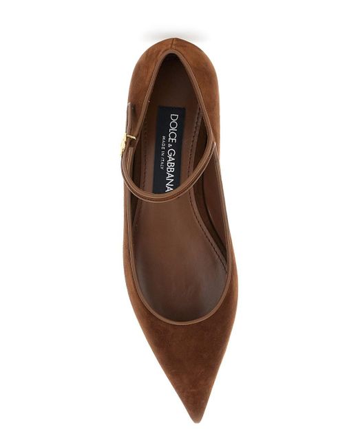 Ballerine Con Design A Punta E Logo Dg Laterale di Dolce & Gabbana in Brown
