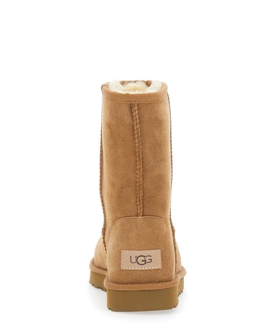 Ugg Brown Boots Classic Short Suede