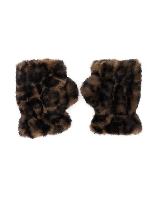 Apparis Black Ariel Leopard Gloves With Leopard Print