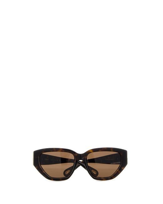Chloé Black Printed Acetate Sunglasses