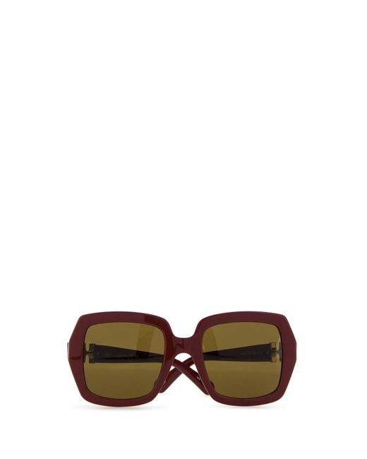 Chloé Brown Burgundy Acetate Sunglasses
