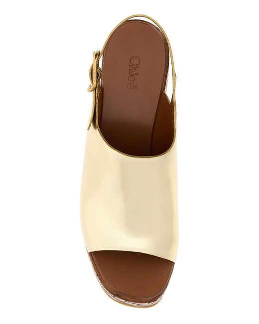Chloé Brown Shoes