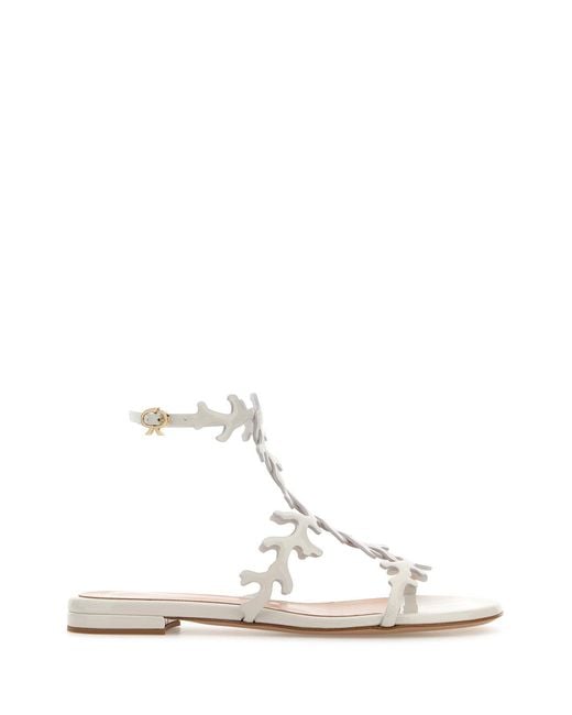 Gianvito Rossi White Chalk Leather Ocean Sandals