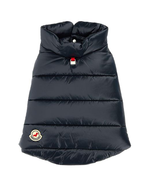 Moncler Blue Nylon Dog Padded Jacket