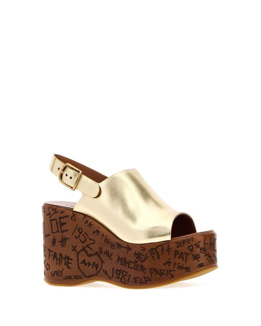 Chloé Brown Shoes