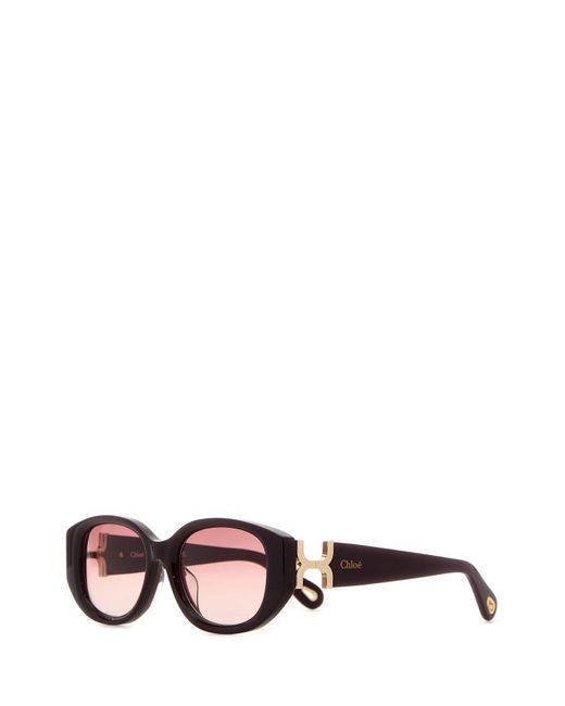 Chloé Multicolor Burgundy Acetate Sunglasses