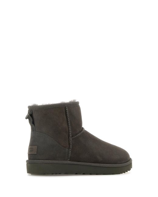 Stivaletti Classic Mini II in pelle scamosciata grigia di Ugg in Brown