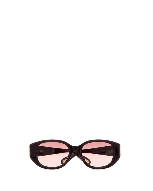 Chloé Multicolor Burgundy Acetate Sunglasses
