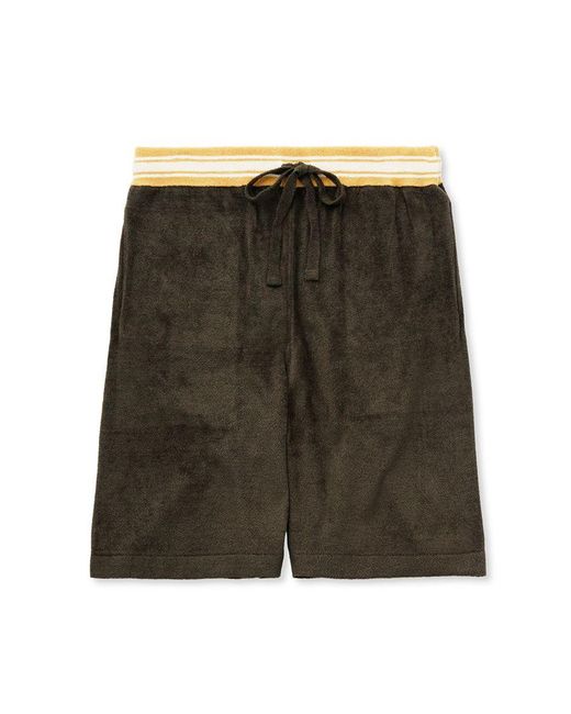 gelato pique Green Smooth Light Loungewear Shorts for men