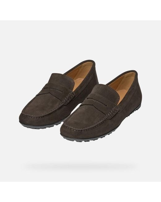 Geox Brown Kosmopolis + Grip for men