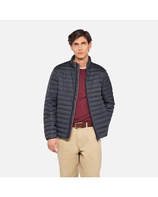 Geox Blue Warrens for men