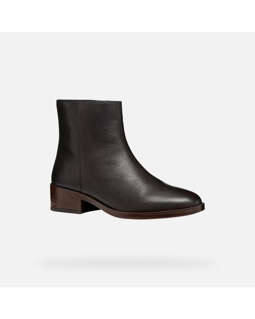 Geox Black Camexia